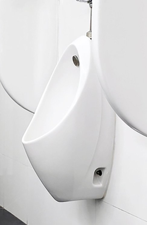 URINAL1681919452.jpg